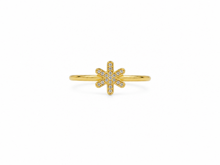 Fico Gioielli - Anello Regolabile Fiore di Luce con Zirconi in Argento 925