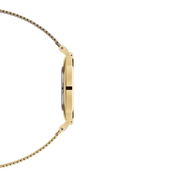 Daniel Wellington EverOro orologio solo tempo donna 36mm DW00100345