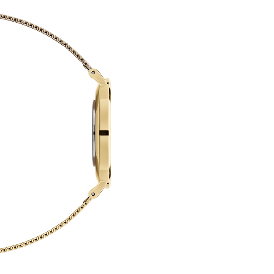 Daniel Wellington EverOro orologio solo tempo donna 28mm DW00100349