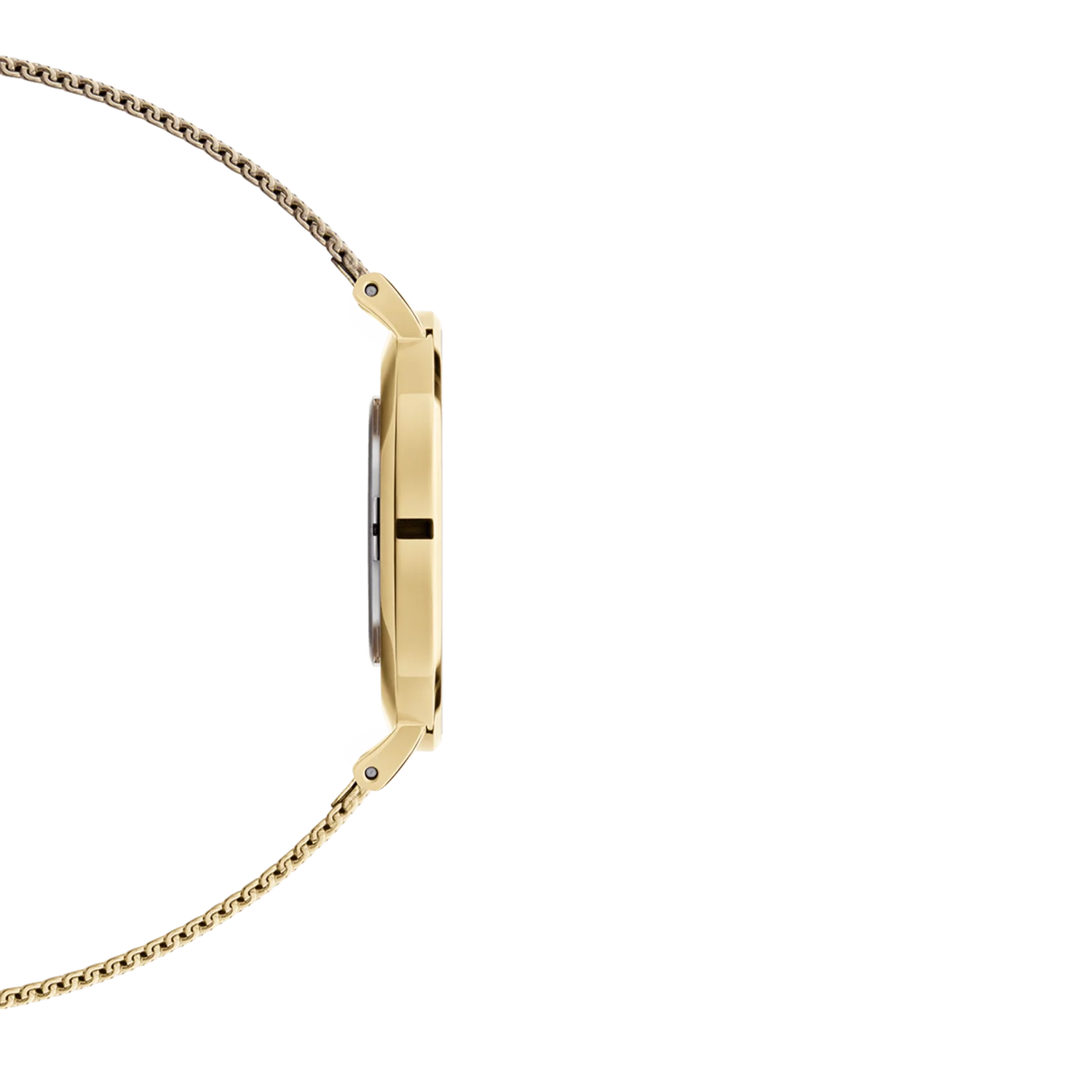 Daniel Wellington EverOro orologio solo tempo donna 28mm DW00100350