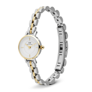 Daniel Wellington - Petite Mini Arch 3-Link Two Tone Gold