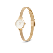 Daniel Wellington - Petite Mini Evergold