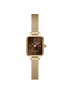 Daniel Wellington - Orologio Quadro Mini Evergold Amber