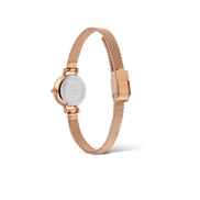 Daniel Wellington - Petite Mini Melrose