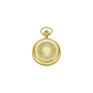 Festina orologio da tasca uomo golden F2029/1